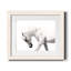Neutral Stallion - Photographie avec cadre photo-2068235370-2068235369