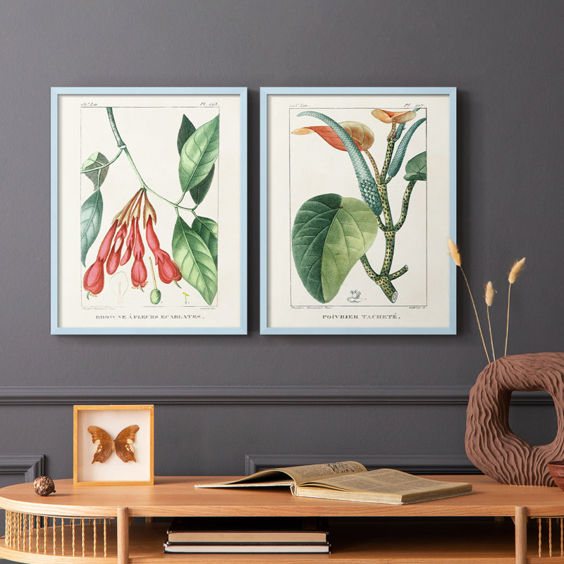 «Turpin Tropical Botanicals I», reproduction encadrée de qualité supérieure - prête à être accrochée - aucun clou requis