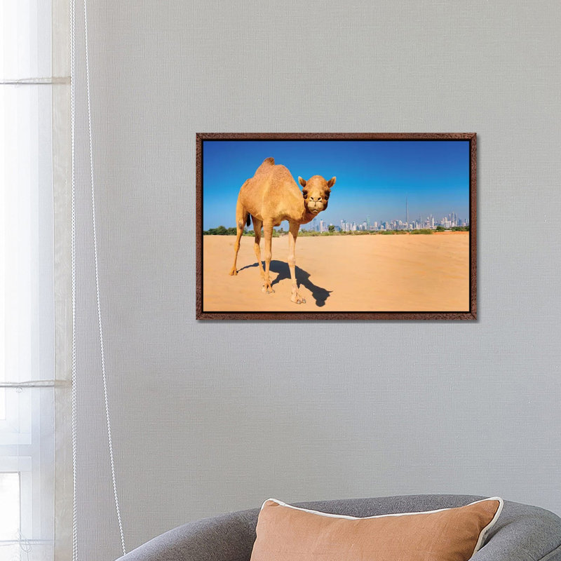 Camel In The Dessert With Dubai Skyline by Susanne Kremer - Floater Frame Gallery-Wrapped Canvas Giclée on Canvas, Brown