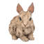 Statue lapin en bois flotté-339798858
