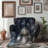 Throw Blanket-97815375
