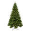 Vickerman Bennington Spruce Artificial Christmas T 42' Lighted Artificial Spruce Christmas Tree