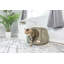 Lit pour chat Armarkat Rond / Spécialisé
