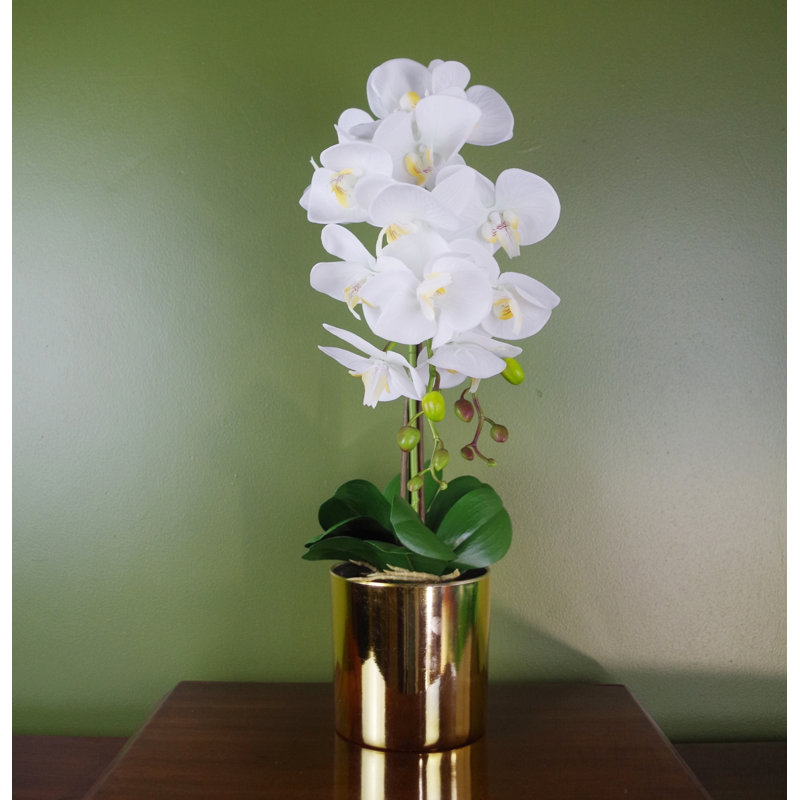 Plastic, Silk Artificial Arrangement in Pot, 54cm H x 20cm W x 20cm D, White
