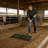 Handle Heavy Duty Tool Lawn Leveling Rake