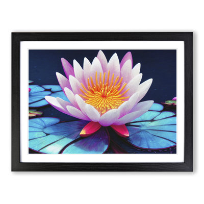 Beauteous Water Lily Flower - Single Picture Frame Print