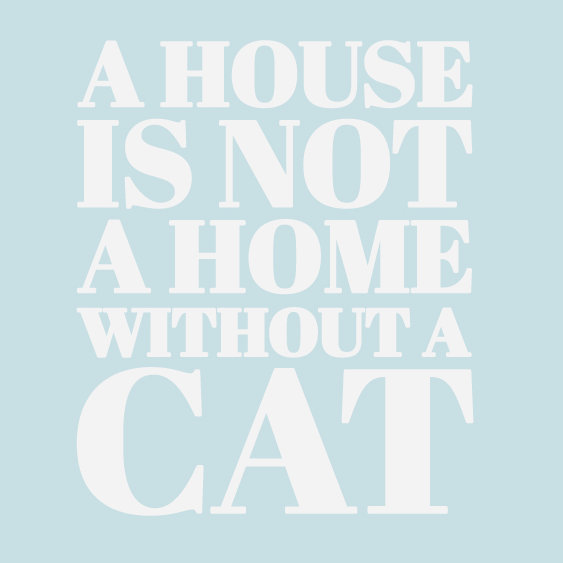 Text & Numbers Non-Wall Damaging Wall Decal, White