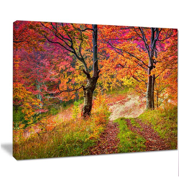 DesignArt Bright Colorful Fall Trees In Forest On Canvas Print | Wayfair