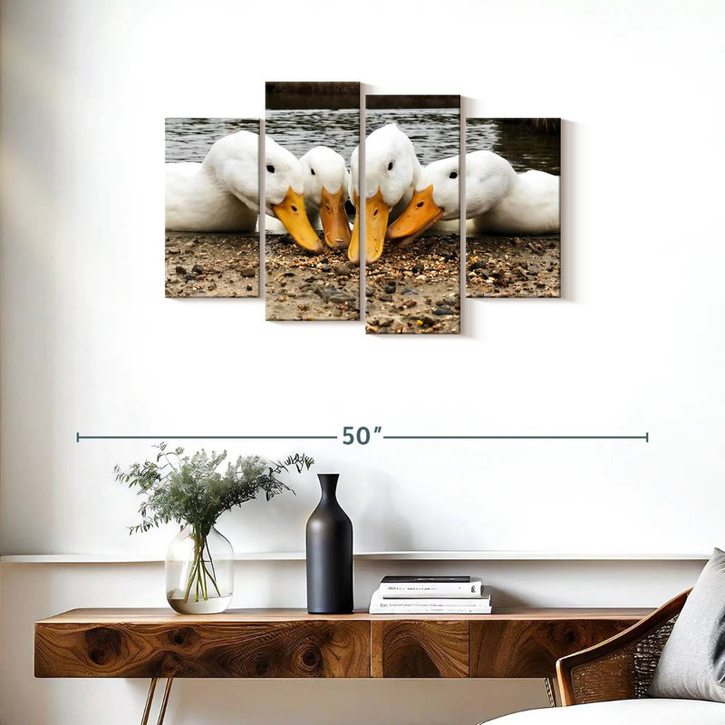 American Pekin Ducks, H 22 po x l 36 po