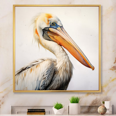 " Majestic Pelican Seabird IV "