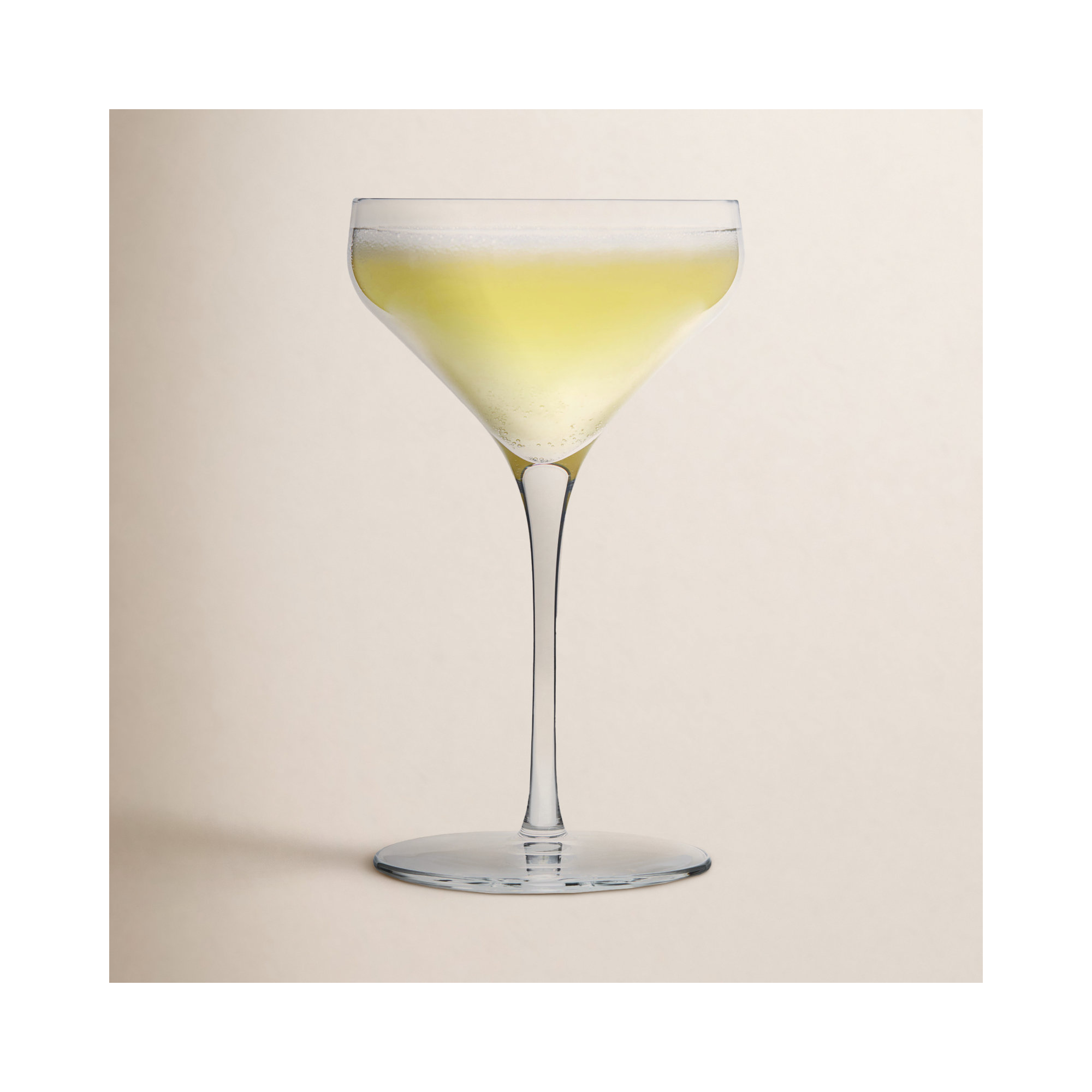 Libbey Signature Greenwich Coupe Cocktail Glasses