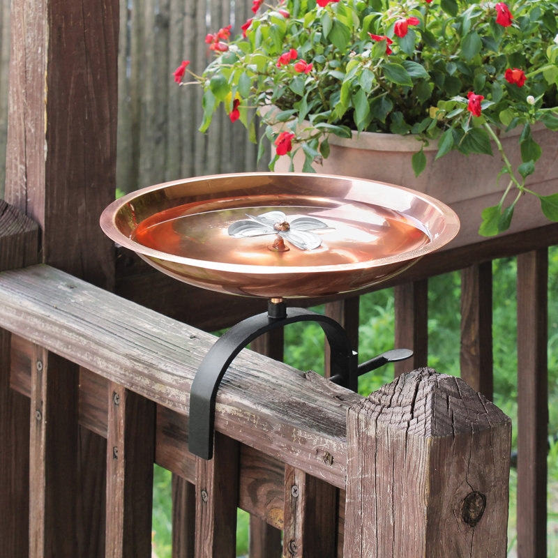 Bain d'oiseaux Dogwood avec support sur rail
