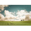 " Prairie " Color Photography Print