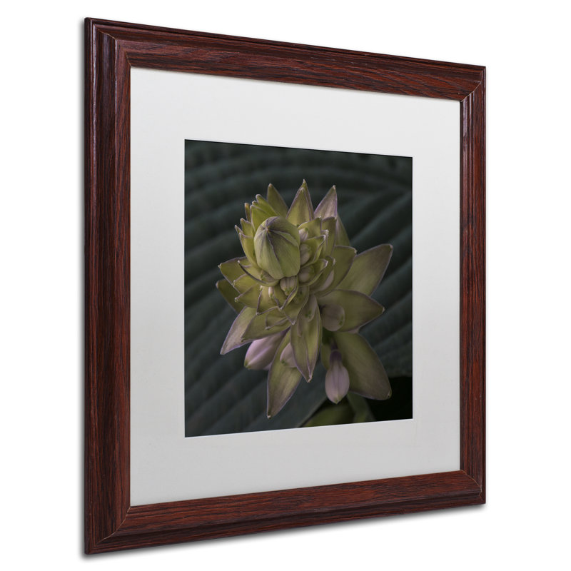 Early Hosta Flower Abstract Framed Canvas Print in Brown Wooden Frame