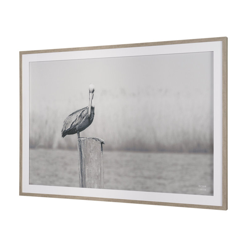 Pelican Stories par Nathan Larson, reproduction d'art encadrée sous verre