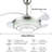 Arianys Ceiling Fan with LED Lights