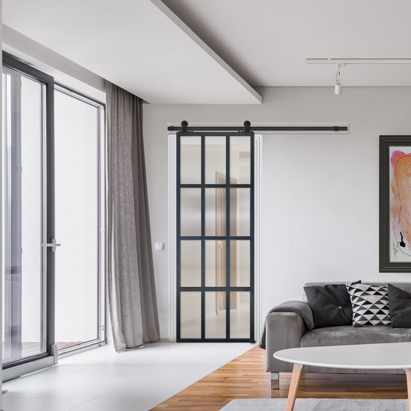 Modern 12 Lite Black Aluminum and Glass Barn Door