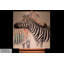 Zebra Love Hand Painted Acrylic Painting