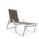 Holna Outdoor Rust-Resistant Metal Chaise Lounge