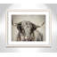 Grand Kyloe Bull - reproduction de cadre photo-64010231-64010230