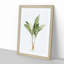 Lily of the Valley by Pierre-Joseph Redoute - Picture Frame Painting Print on MDF-55582765-55582768