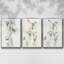 Ensemble de 3 pièces encadrées sur toile Late Summer Wildflowers I V30-97792828-97792832