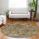 Premium Machine Washable Prisco Brown Rug