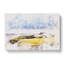 House Upon The Coast Of Dublin Ireland - Wrapped Canvas Print-56662141