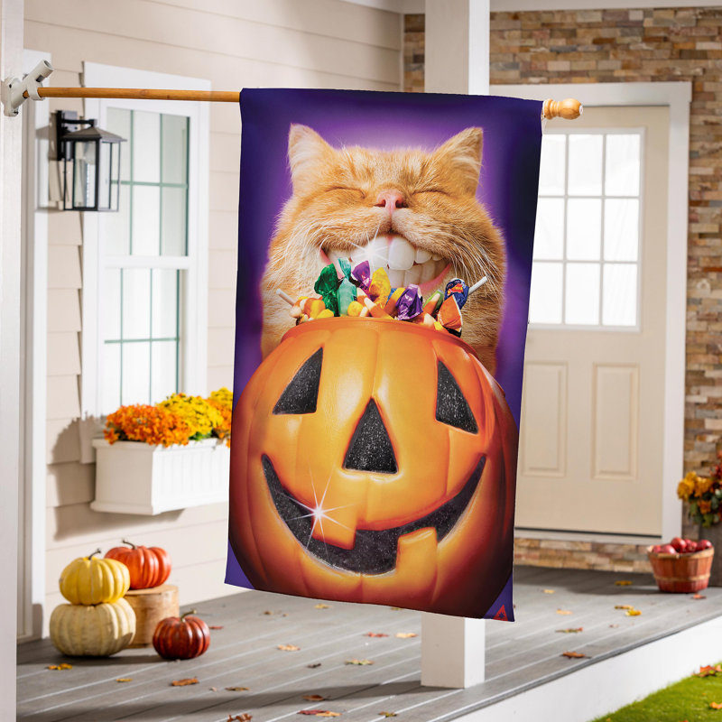 Drapeau de maison chat en suède à dents de citrouille