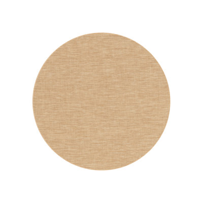 Indoor / Outdoor Area Rug