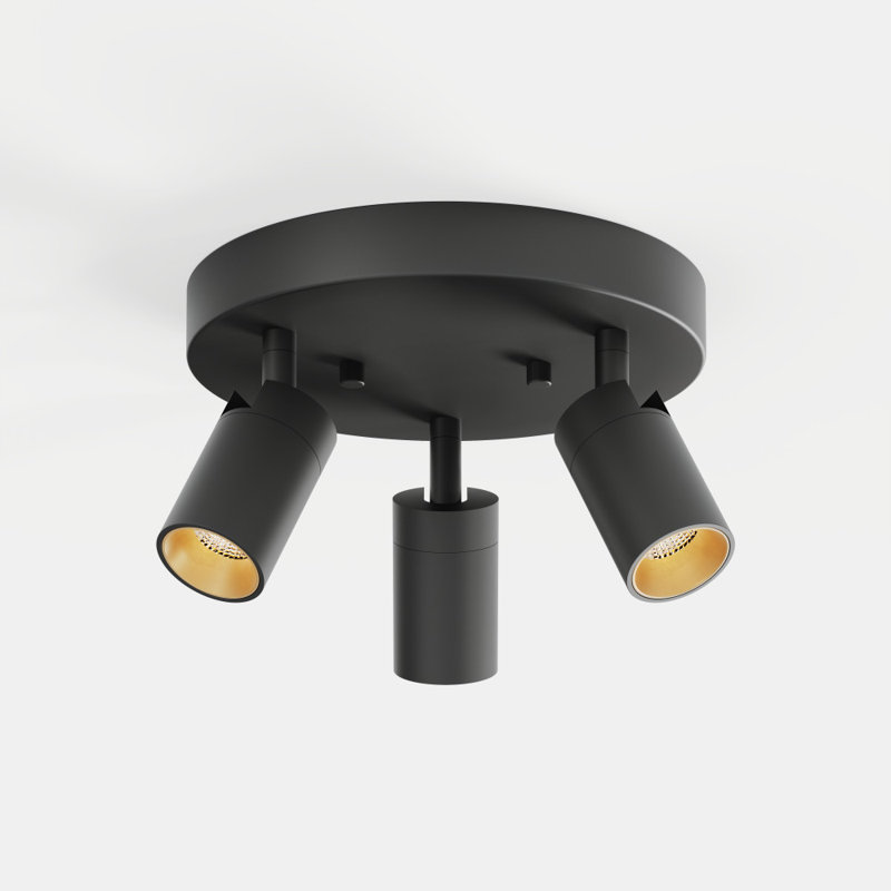  Shura Black 3-Light Round Ceiling Light with Rotatable Heads, Integrated LED Bulbs, Flush Mount Canopy, 3000k, Black