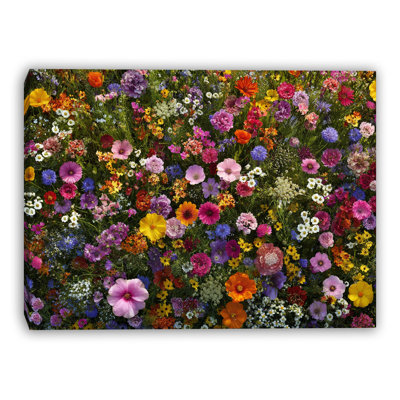 Summer Meadow Closeup Wrapped Canvas Wall Art