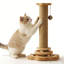 Scratching Post