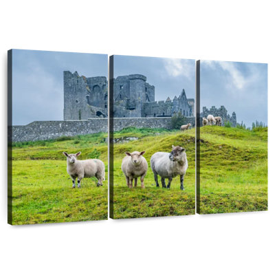 Brampt roche de mouton Cashel