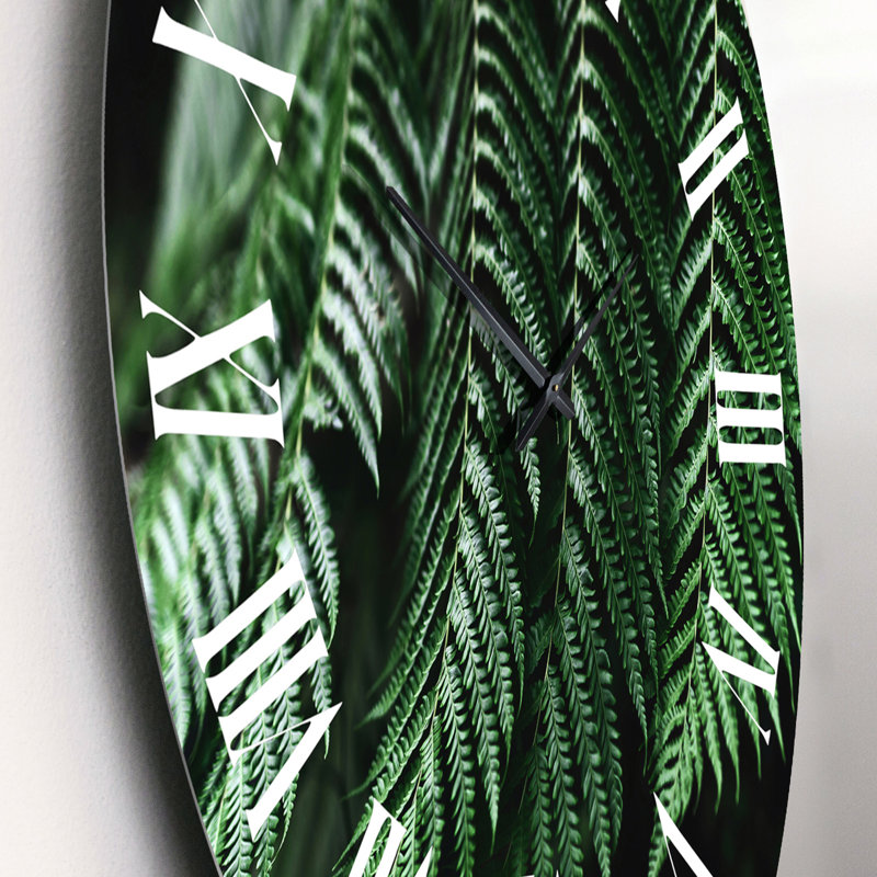 Horloge murale tropicale, Petit