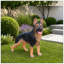 Statue de chien berger allemand d'extérieur, décoration de jardin Greeter - sculpture de chiot mignon pour le porche du nouvel an