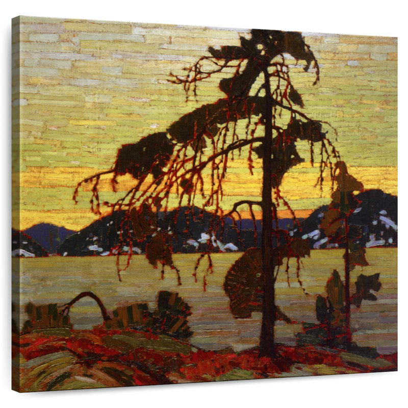 Harnek The Jack Pine, H 30 po x l 30 po