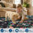 Floral Area Rugs for Living Room Bedroom, Washable Non Slip Vintage Floor Rugs Large Low Pile Oriental Distressed Carpet-537250875-537250873