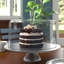 Dôme du gâteau Deyoung-964804391