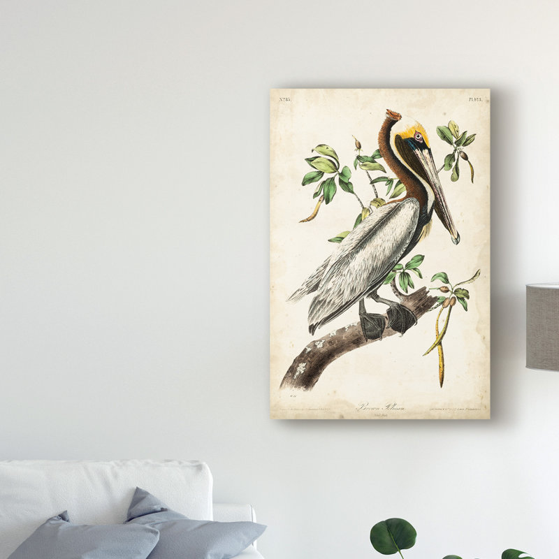 «The Brown Pelican» par James Audubon, reproduction d'art sur toile, H 24 po x l 16 po x P 2 po