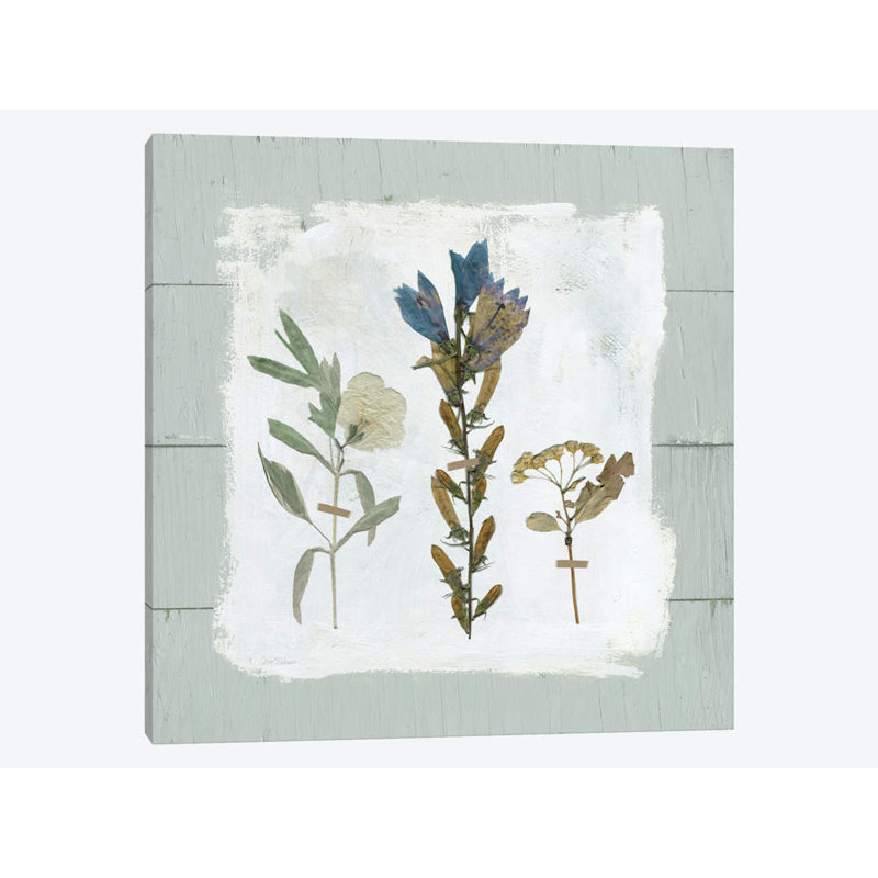 Carol Robinson - Wrapped Canvas Print, 66.04 cm H x 66.04 cm W x 1.91 cm D