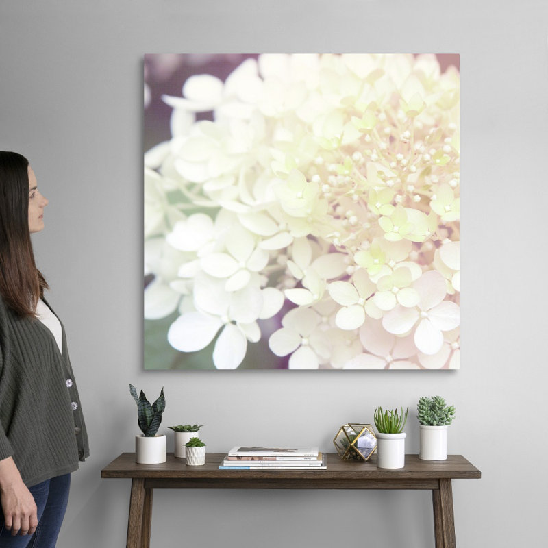 Hydrangea Dream II, art mural sur toile, Toile tendue, H 36 po x l 36 po x P 1,25 po