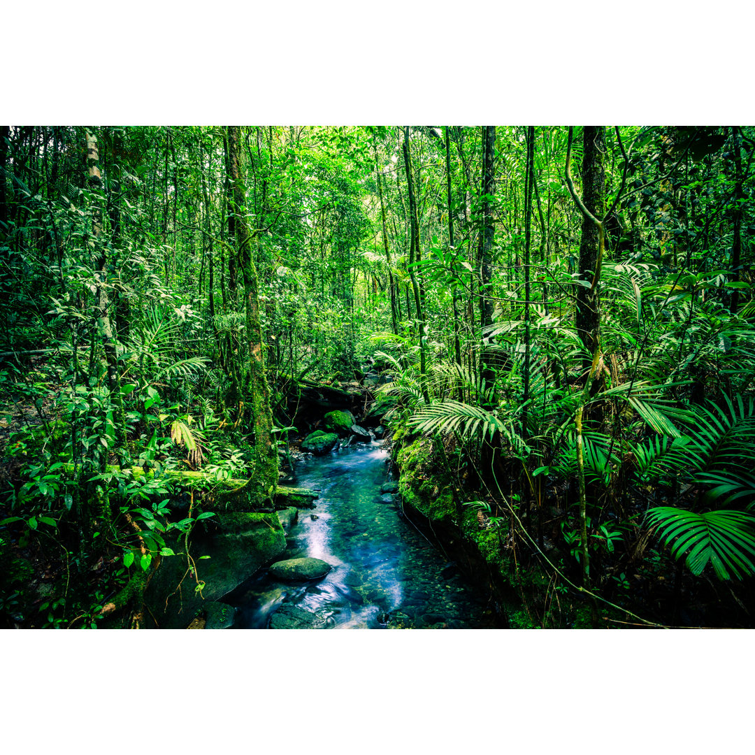 Stream In The Jungle von Zodebala - Drucken