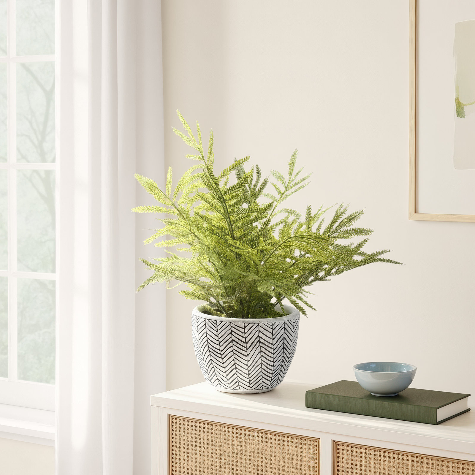 Mini Fern in Ceramic Planter