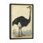 «The Ostrich», reproduction sur toile-31848027-73216753-73216754