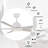 Liandro 60'' Ceiling Fan with Light-1400310072