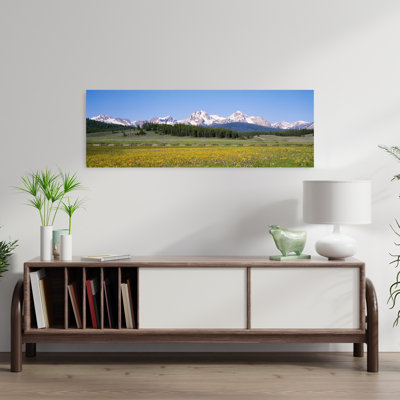 Fleurs dans un champ avec une montagne en arrière-plan, montagnes en dents de scie, aire de loisirs nationale en dents de scie, Stanley, Idaho, États-Unis ...