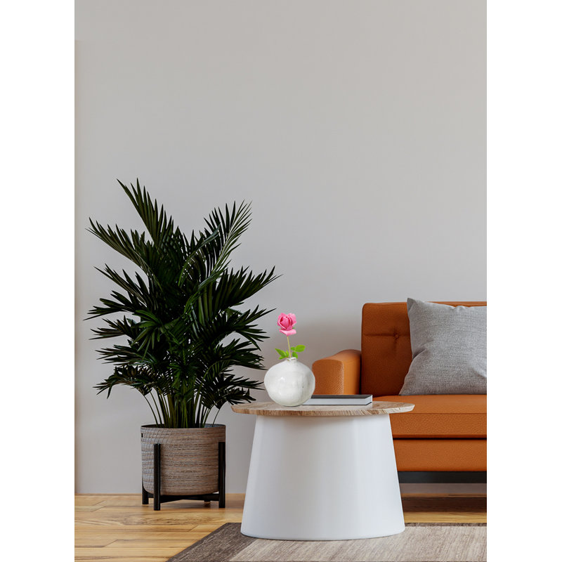 Ida Table Vase - Set of 4