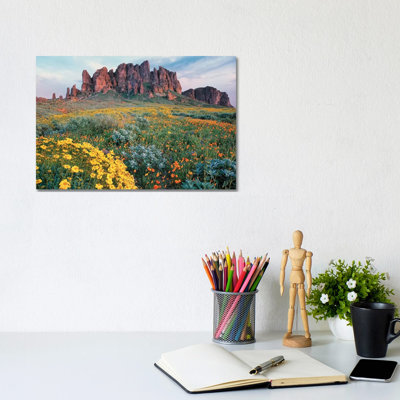 California Brittlebush, Lost Dutchman State Park, Superstition Mountains by Tim Fitzharris - Wrapped Canvas Print