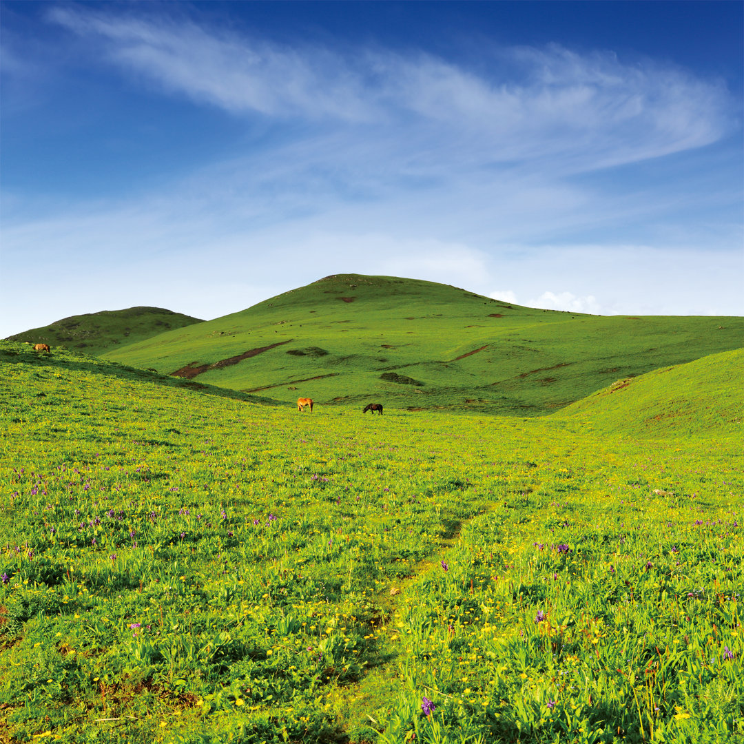 Peak Prairie von Zorazhuang - Leinwandbild